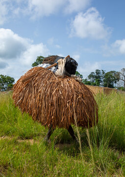 We Guere sacred mask dance during a ceremony, Gu&eacute;mon, Bangolo, Ivory Coast