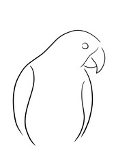 vector illustration of a parrot