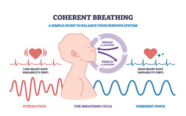 Coherent breathing is shown with a human profile, heart icons, and breathing cycle arrows to illustrate stress vs. coherent states. Outline diagram