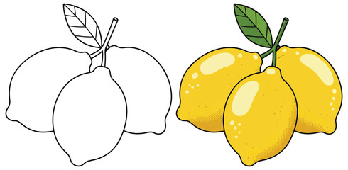 Three Fresh Lemons with Leaf in Split Black-and-White and Colored Illustration - Bright Citrus Artwork for Healthy Food Concepts