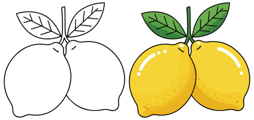 Two Fresh Lemons with Green Leaves in Split Black-and-White and Colored Illustration - Bright Citrus Artwork for Healthy Food Design