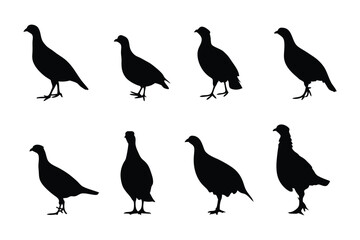 Partridge Silhouette Composition: Elegant silhouettes of partridges are presented, offering a study in form and grace, each one a study in quiet poise and the subtle beauty of avian form.
