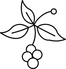 mistletoe icon on transparent background