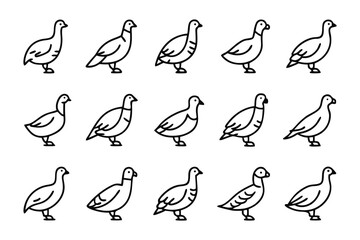 Bird Pattern: A collection of intricately designed birds.