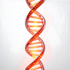 Dna helix isolated in white background