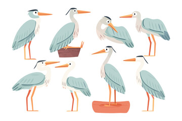 Great Blue Heron Illustration Set: A collection of gracefully illustrated great blue herons in various poses, offering a serene glimpse into the elegance of this aquatic bird.