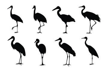 Stately Silhouette: Artful silhouettes of elegant cranes, set against an isolated background, depicting the grace and poise of avian life. 