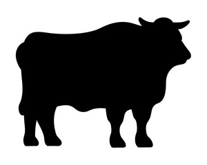 Silhouette of a large muscular bull standing in profile on white