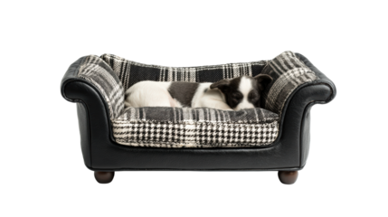 A cute dog sleeping peacefully in its cozy bed, showcasing comfort and relaxation.