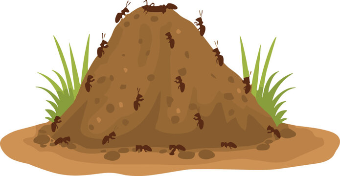 Ant hill vector—soil mound with crawling ants and grass for nature illustrations, ecology education, and insect-themed design