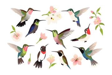 Hummingbirds in Flight: A collection of vibrant hummingbirds captured in mid-flight, their wings a blur of motion against the backdrop of blooming flowers. Illustrative style with bright color.