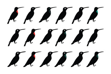 Array of Birds: A meticulously crafted, high-angle view presents an organized collection of black birds in a symmetrical grid, emphasizing pattern and uniformity. 