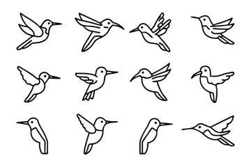 Hummingbird Vector Set: A minimalist illustration showcases a collection of hummingbirds in various dynamic flight poses. This set embodies simplicity and captures the essence of avian movement.