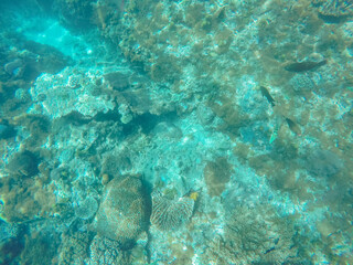The view of the clear and calm sea shows a stretch of coral reef that is clearly visible from the surface of the water.