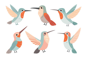 Hummingbird Variety: A charming illustration showcases a diverse collection of colorful hummingbirds in flight, meticulously illustrated to capture their intricate beauty and unique features.