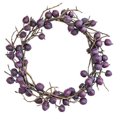 Rustic wreath made of dried grapes and twigs isolated on transparent background