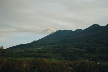 Beautiful high altitude forest mountain views