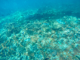 The view of the clear and calm sea shows a stretch of coral reef that is clearly visible from the surface of the water.