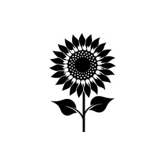 Detailed black silhouette of a sunflower with leaves and stem isolated on white background isolated on transparent background