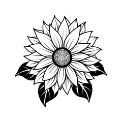 Detailed black and white sketch of a blooming sunflower with leaves isolated on white background isolated on transparent background
