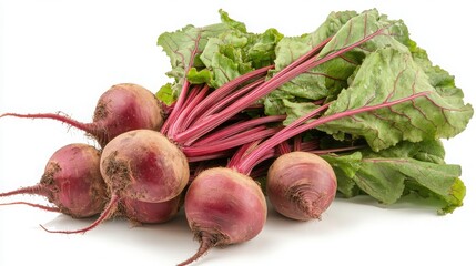 Fresh beets with green tops on a white background