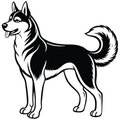 Silhouette of a standing husky dog clean and bold vector design isolated on white background isolated on transparent background