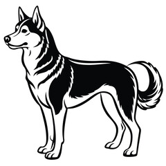 Clean silhouette of a standing husky dog vector design isolated on white background isolated on transparent background