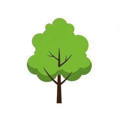 Tree Icon Vector