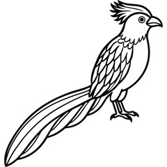 Elegant Tropical Bird Illustration Long-Tailed Beauty in Profile