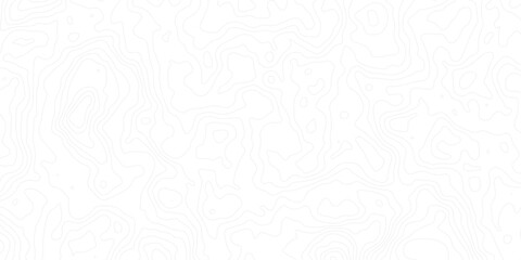 Minimal white topographic contour map background with soft, flowing elevation lines. Perfect for geographic themes, abstract landscapes, or subtle design textures in modern digital projects.