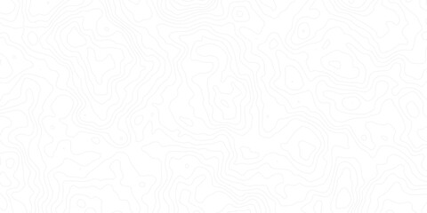 Minimal white topographic contour map background with soft, flowing elevation lines. Perfect for geographic themes, abstract landscapes, or subtle design textures in modern digital projects.