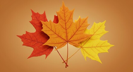 Obraz premium Close-up of three vibrant maple leaves in shades of red, orange, and yellow, overlapping against a gradient brown background
