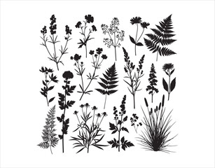 Shapes of garden and wild plants plus flowers

