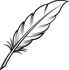 Fototapeta premium Black and white feather drawing isolated on transparent background