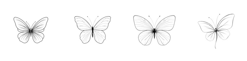 Fototapeta premium Butterfly Outline Set: Delicate Butterfly Art Illustration on White Background