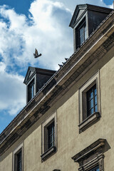 Pigeon flying past the facade of a historic building in an old European city. Concept of freedom, urban nature, hope and city life.