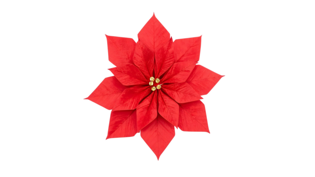Vibrant red origami poinsettia flower on minimalist isolated background