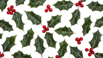 Festive holly leaves and berries pattern on isolated background for christmas decor