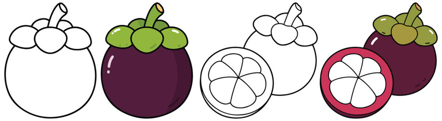 Mangosteen Fruit Whole and Half with Leaves in Split Black-and-White and Colored Illustration - Exotic Tropical Fruit Design