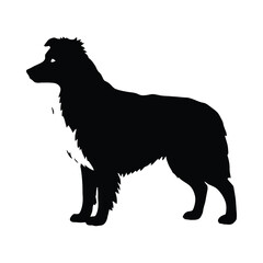 Obraz premium Black and white silhouette of a border collie standing animal