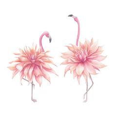 Watercolor couple flamingos with flower. Hand drawn isolated illustration on white background © natikka