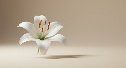 Fototapeta premium A pristine, solitary white flower, likely a lily, blooms with soft petals & prominent stamens against a subtle beige background. A shadow falls to the right
