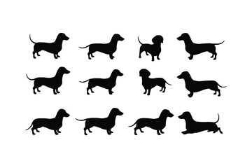 Naklejka premium Dachshund silhouettes in various poses black white