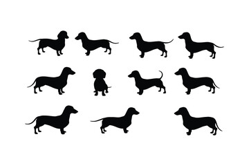 Naklejka premium Dachshund silhouettes various poses black white