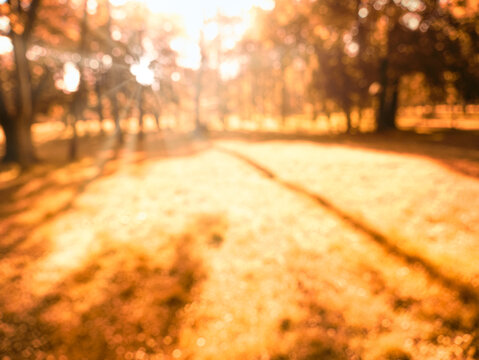 fall leaves in park, autumn blurred natural background - Powered by Adobe