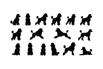 Poodle silhouettes various poses black white