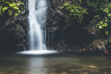 Naklejka premium waterfall in the forest on a moody summer day