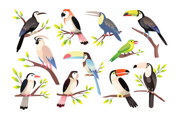 Naklejka premium Variety of Birds in their Habitat: Various birds sit on tree branches, demonstrating the beauty of birds. Each bird is in its habitat, showing the different of natural patterns.