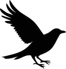 Fototapeta premium black bird silhouettes for design projects