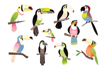 Obraz premium Tropical Birds in Full Bloom: Vibrant illustrations of colorful tropical birds perched on branches in a lively arrangement, a testament to the diverse beauty of the animal kingdom.